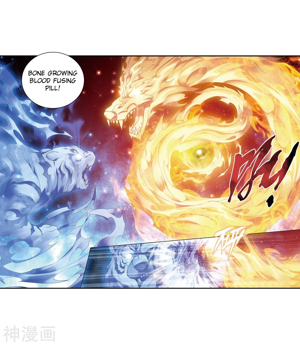 Doupo Cangqiong Chapter 282 page 25 - Chapter 282: Winning Ticket