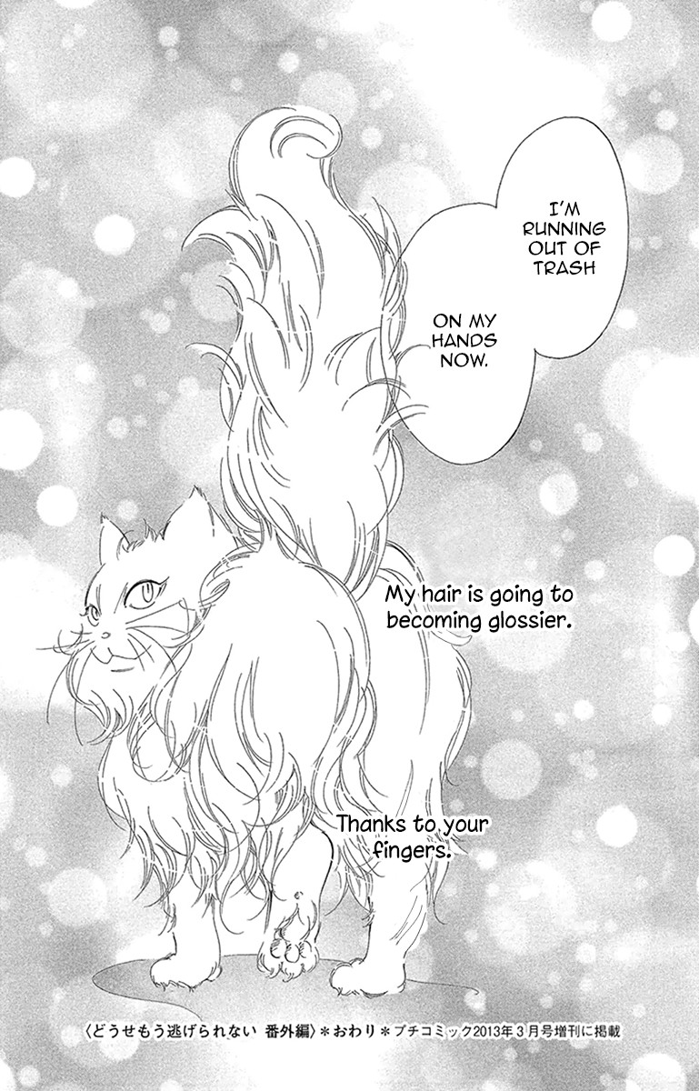 Douse Mou Nigerarenai Chapter 20.5 page 10 - Chapter 20.5: Side Story