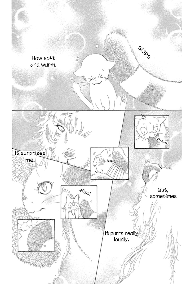 Douse Mou Nigerarenai Chapter 22 page 4 - Chapter 22: Trap 22 - Being by the Kitten's side is warm