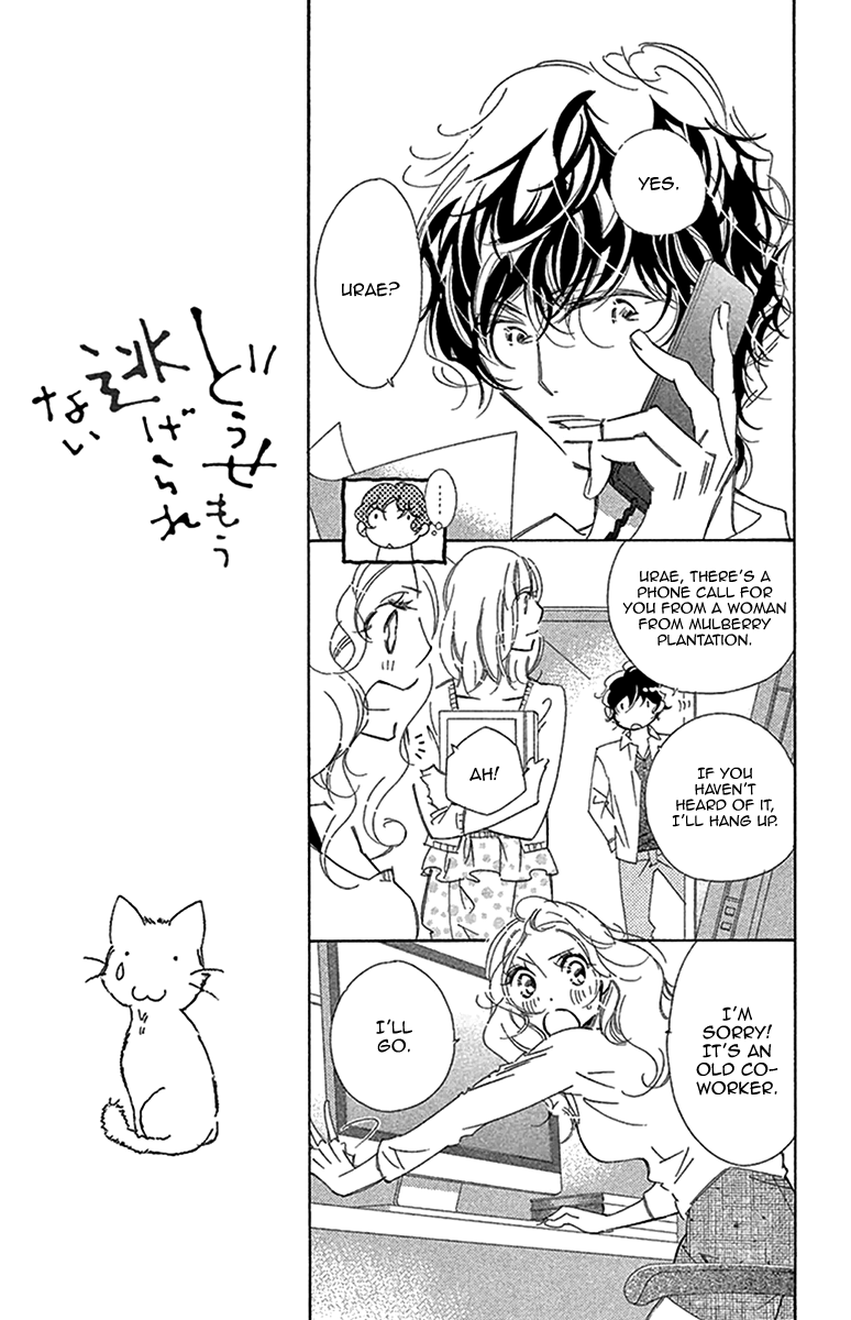 Douse Mou Nigerarenai Chapter 23 page 17 - Chapter 23: Trap 23 - Is the Tiger or the Cat ahead?