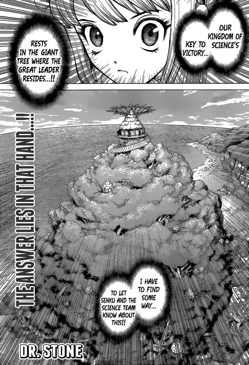 Dr. Stone Chapter 113 page 1 - Chapter 113: Cryptography Science