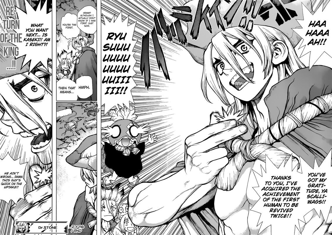 Dr. Stone Chapter 116 page 17 - Chapter 116: Miracle in Hand