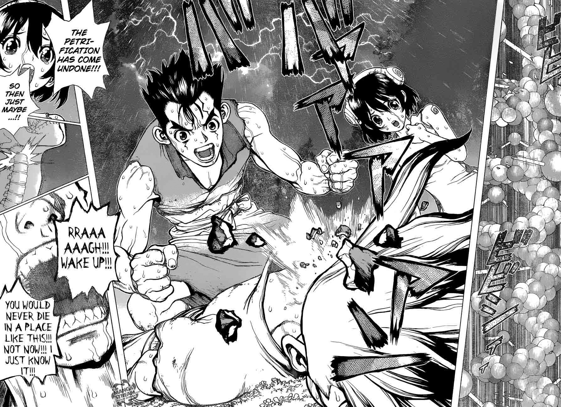 Dr. Stone Chapter 12 page 14 - Chapter 12: Epilogue of Prologue(End of Part 0)
