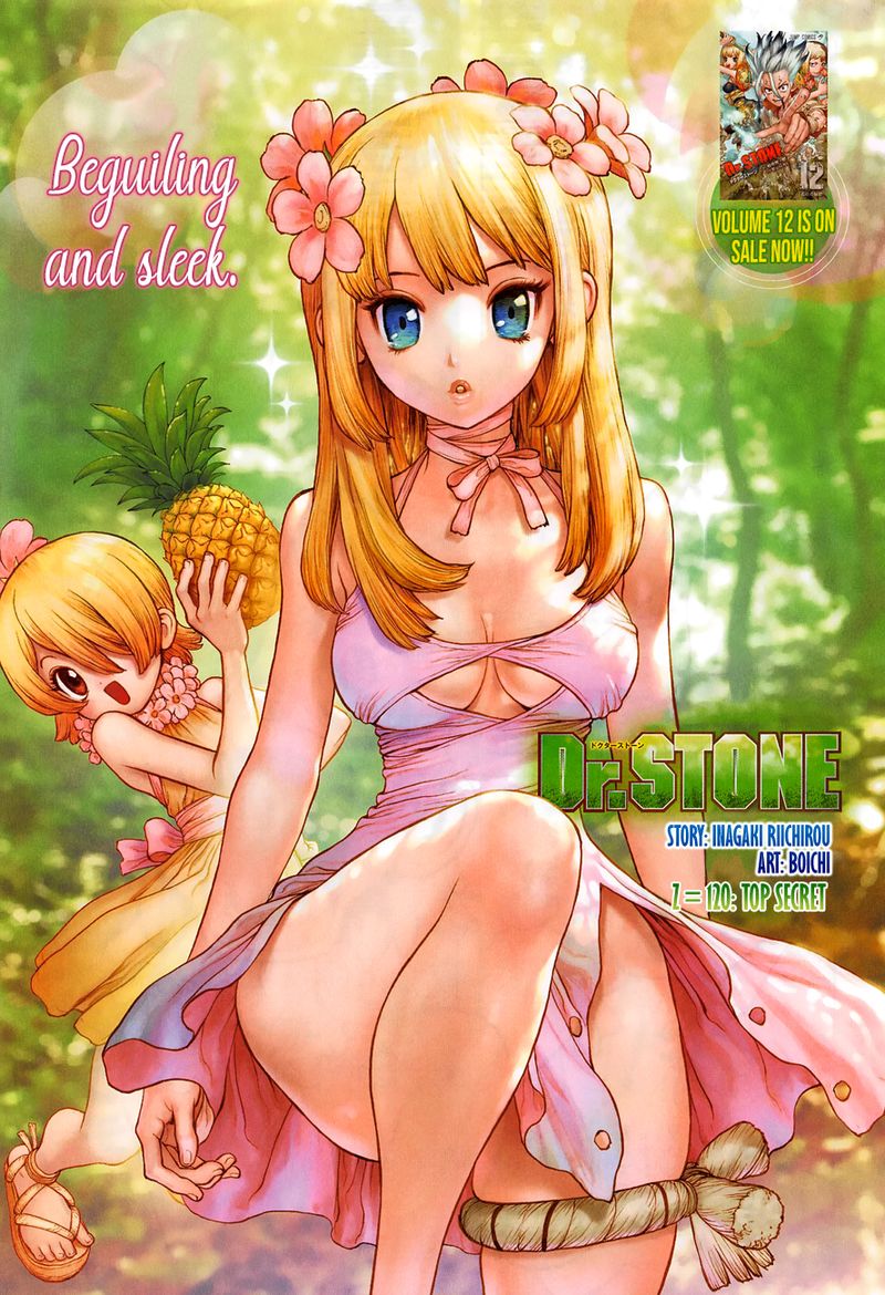 Dr. Stone Chapter 120 page 1 - Chapter 120: Top Seacret