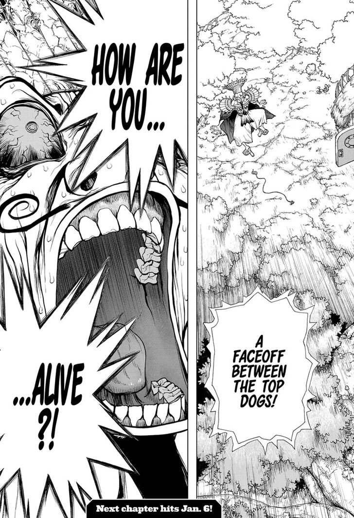 Dr. Stone Chapter 134 page 19 - Chapter 134: Commander Faceoff