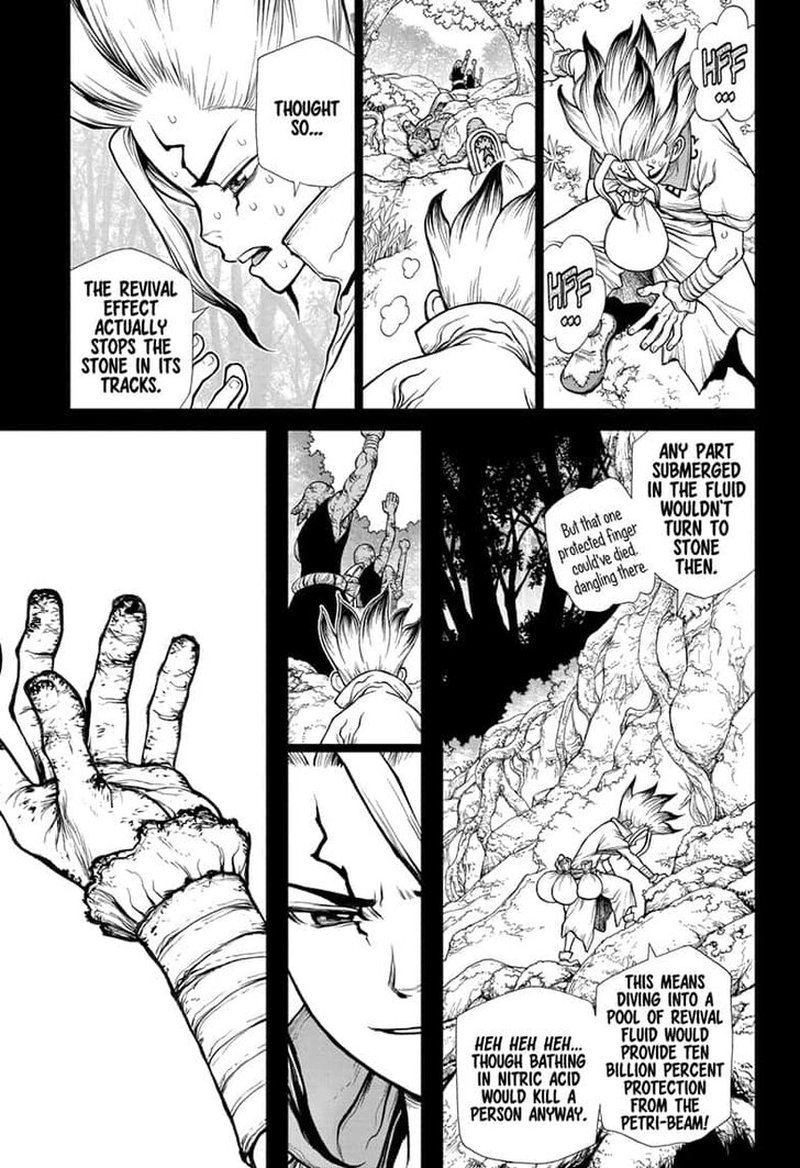 Dr. Stone Chapter 135 page 11 - Chapter 135: Counting