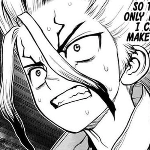 Dr. Stone Chapter 135: Counting cover