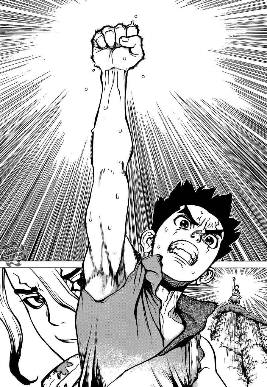 Dr. Stone Chapter 15 page 17 - Chapter 15: Two Kingdoms of the Stone World