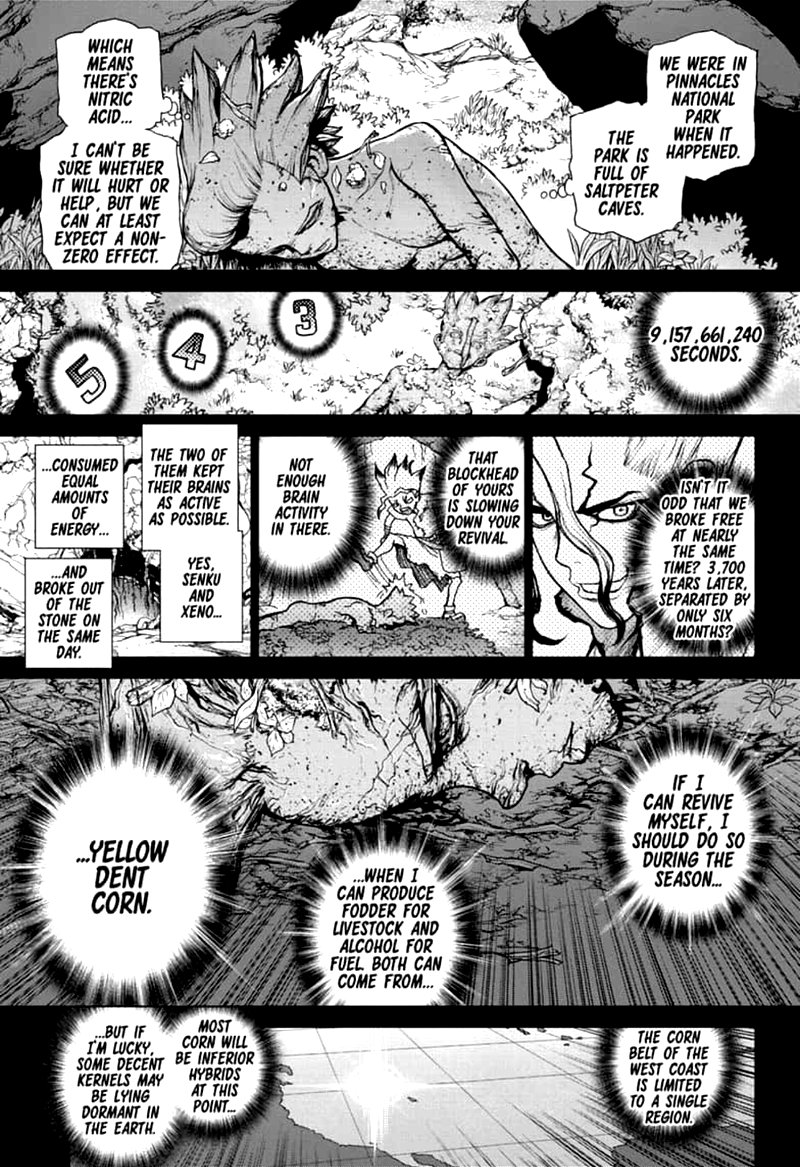 Dr. Stone Chapter 157 page 14 - Chapter 157: Same Time, Same Place