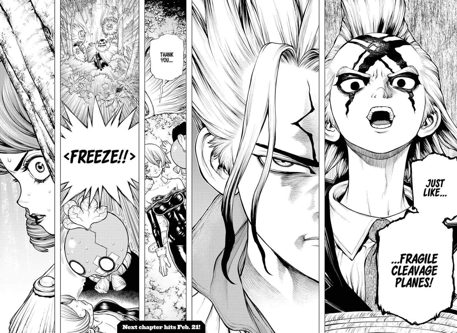 Dr. Stone Chapter 185 page 17 - Chapter 185: Lovely Cleavage Plane