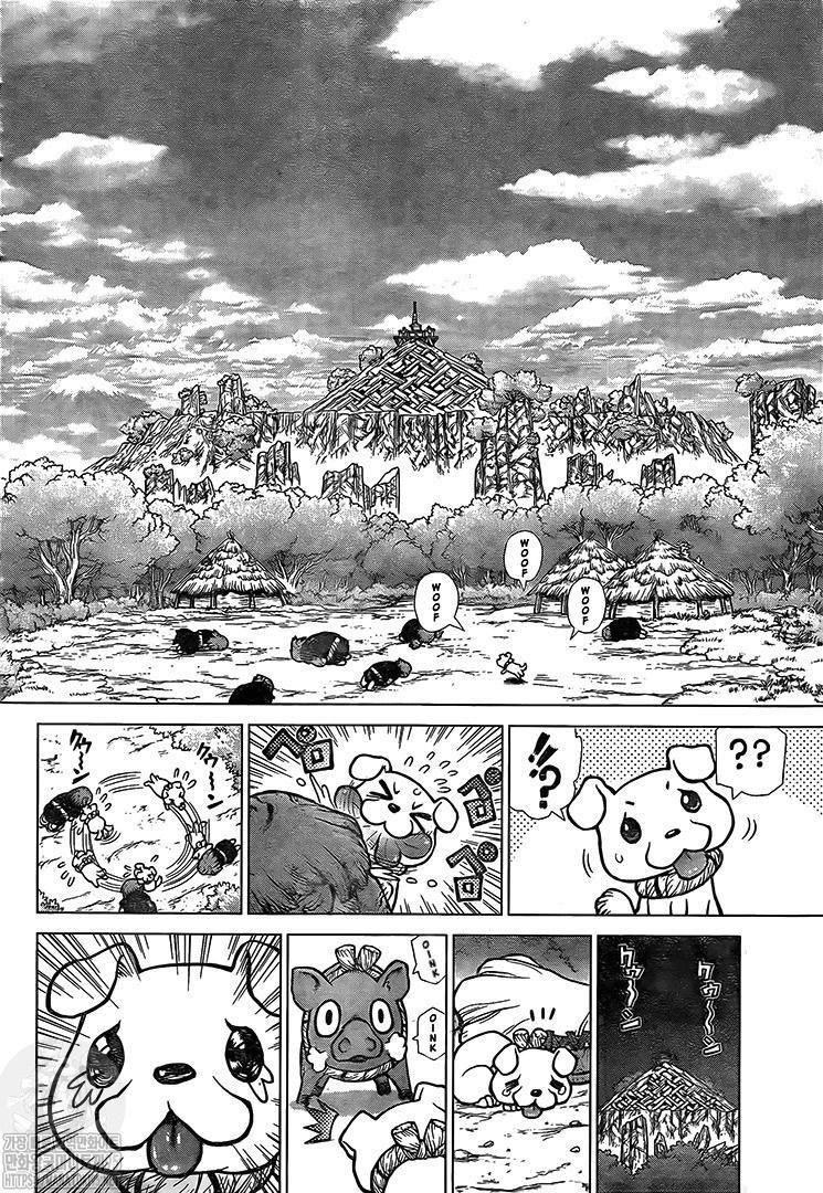 Dr. Stone Chapter 193 page 13 - Chapter 193: Our Stone World