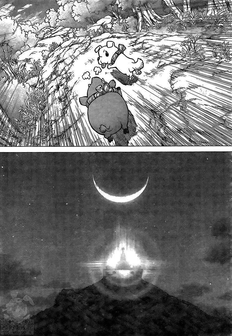 Dr. Stone Chapter 193 page 14 - Chapter 193: Our Stone World