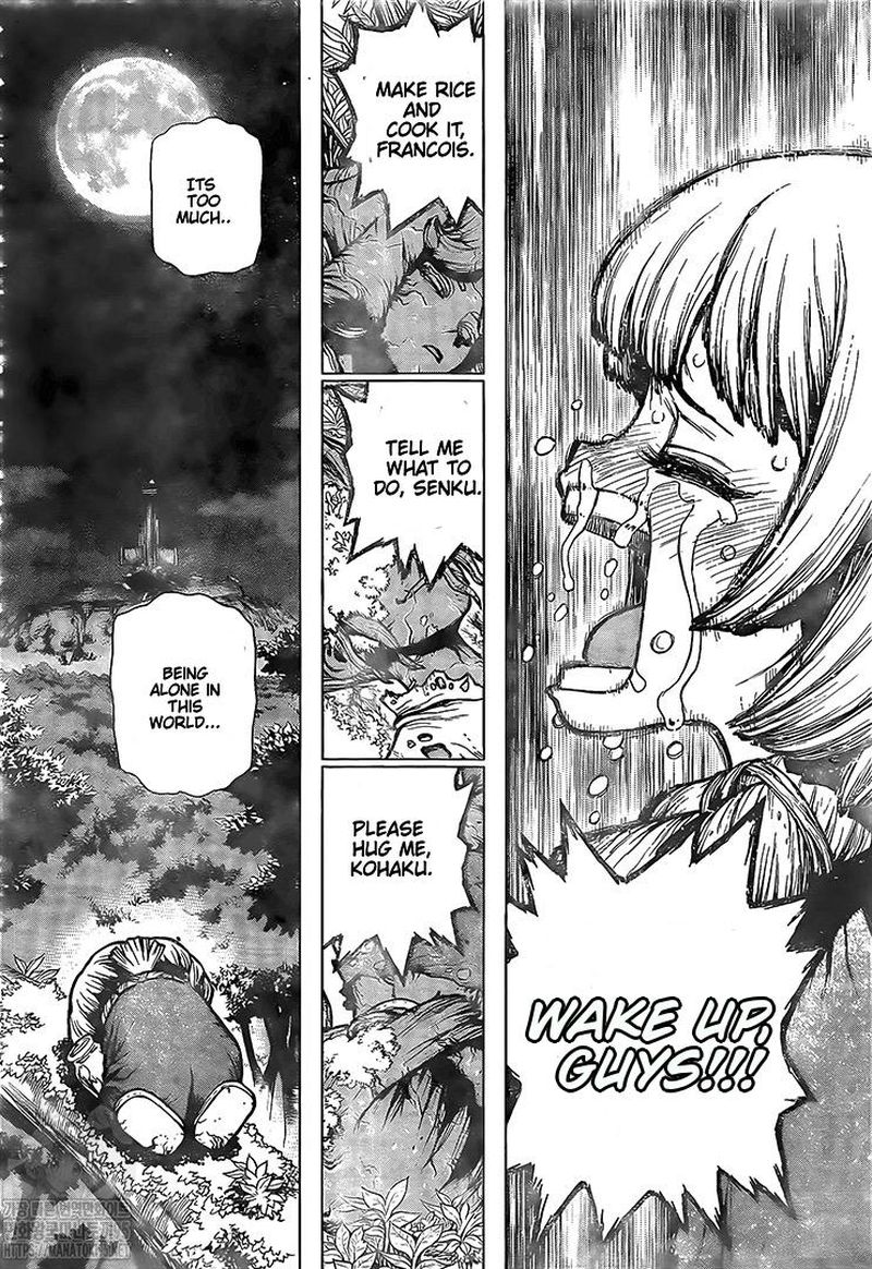 Dr. Stone Chapter 194 page 13 - Chapter 194: Homo Sapiens, All Alone