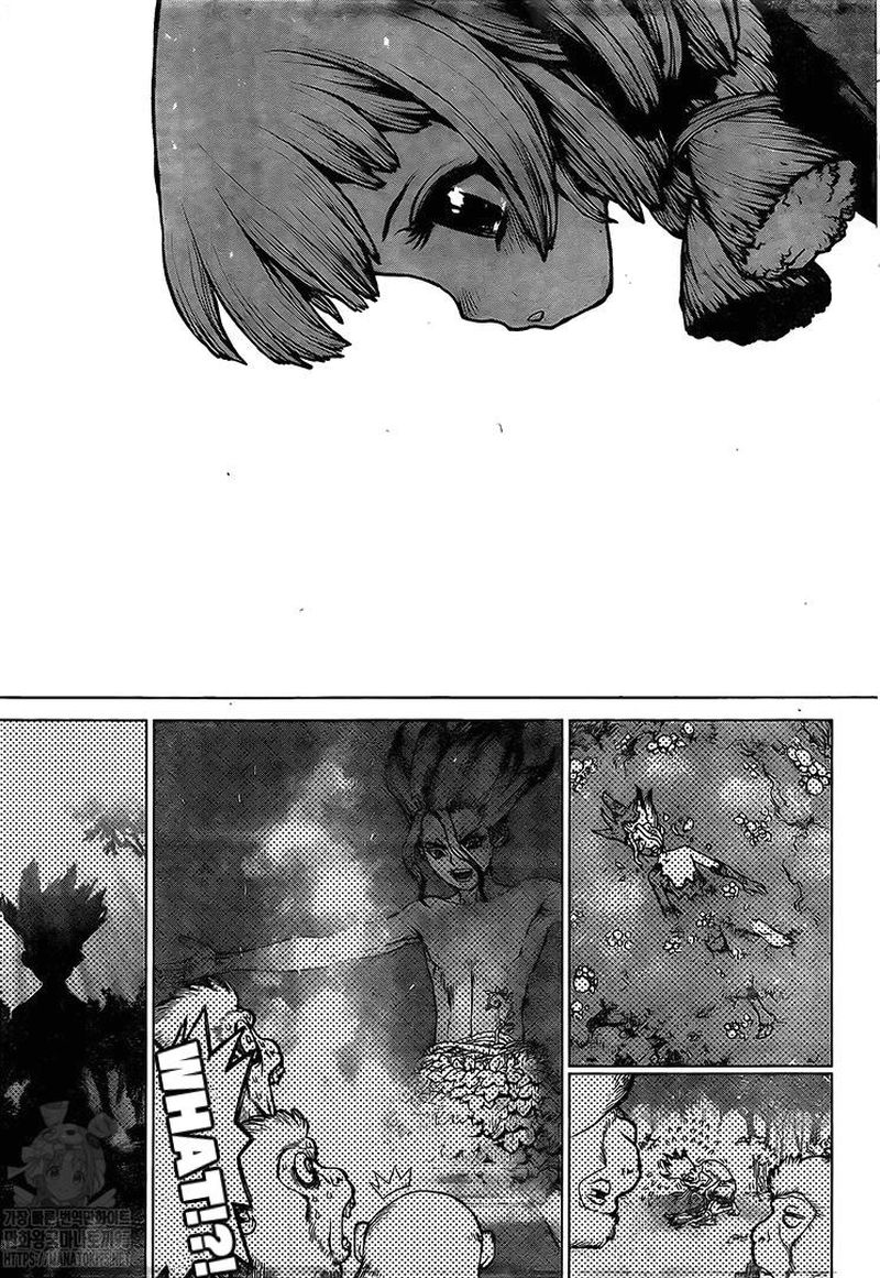 Dr. Stone Chapter 194 page 14 - Chapter 194: Homo Sapiens, All Alone