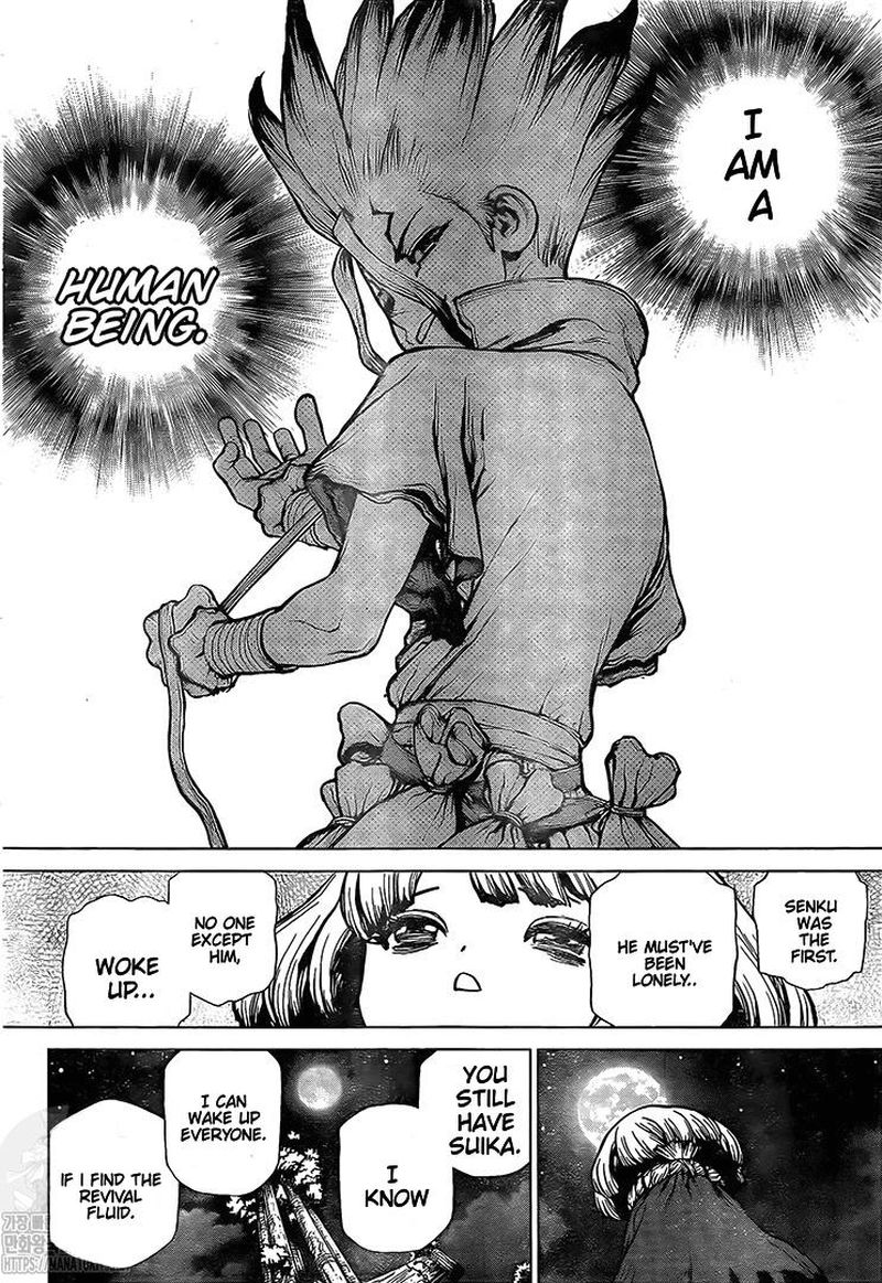 Dr. Stone Chapter 194 page 15 - Chapter 194: Homo Sapiens, All Alone