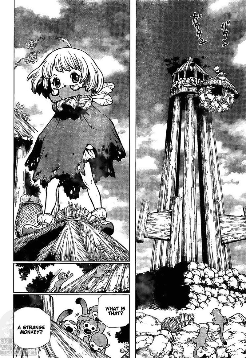 Dr. Stone Chapter 194 page 17 - Chapter 194: Homo Sapiens, All Alone
