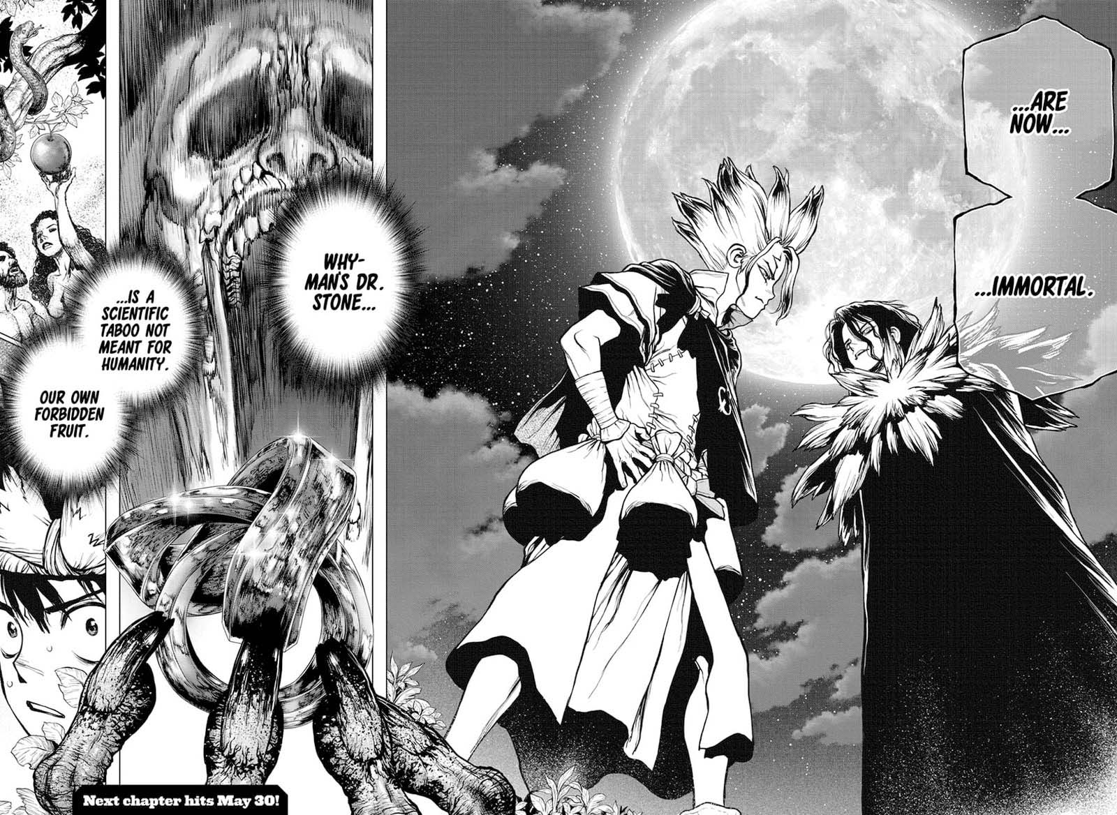 Dr. Stone Chapter 197 page 17 - Chapter 197: A Stony Eden and Its Forbidden Fruit