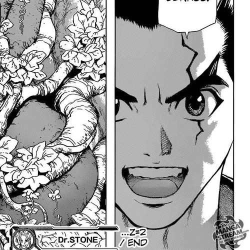 Dr. Stone Chapter 2: Fantasy vs Science cover