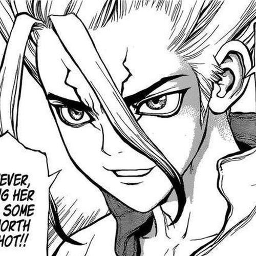 Dr. Stone Chapter 20: Stone Road cover