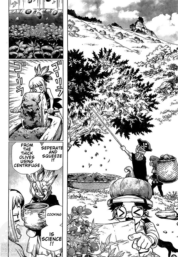 Dr. Stone Chapter 202 page 5 - Chapter 202: Ryusui Corp.