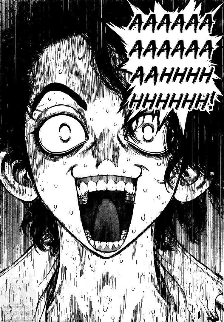 Dr. Stone Chapter 204 page 14 - Chapter 204: The Universe is Written in the Language of Mathematics