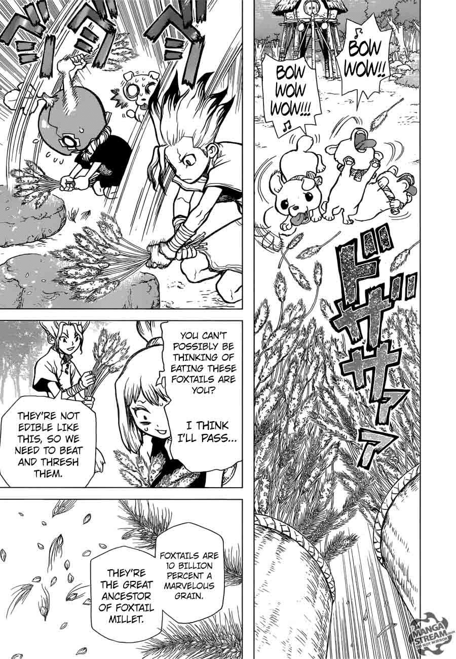Dr. Stone Chapter 22 page 11 - Chapter 22: Survival Gourmet