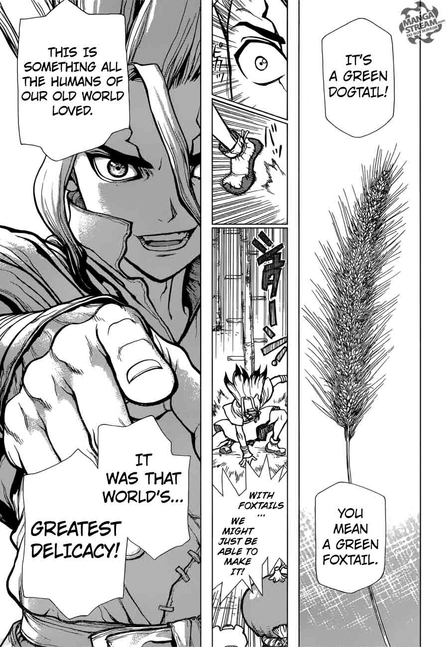 Dr. Stone Chapter 22 page 9 - Chapter 22: Survival Gourmet