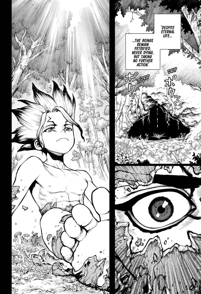 Dr. Stone Chapter 229 page 13 - Chapter 229: Why-Man