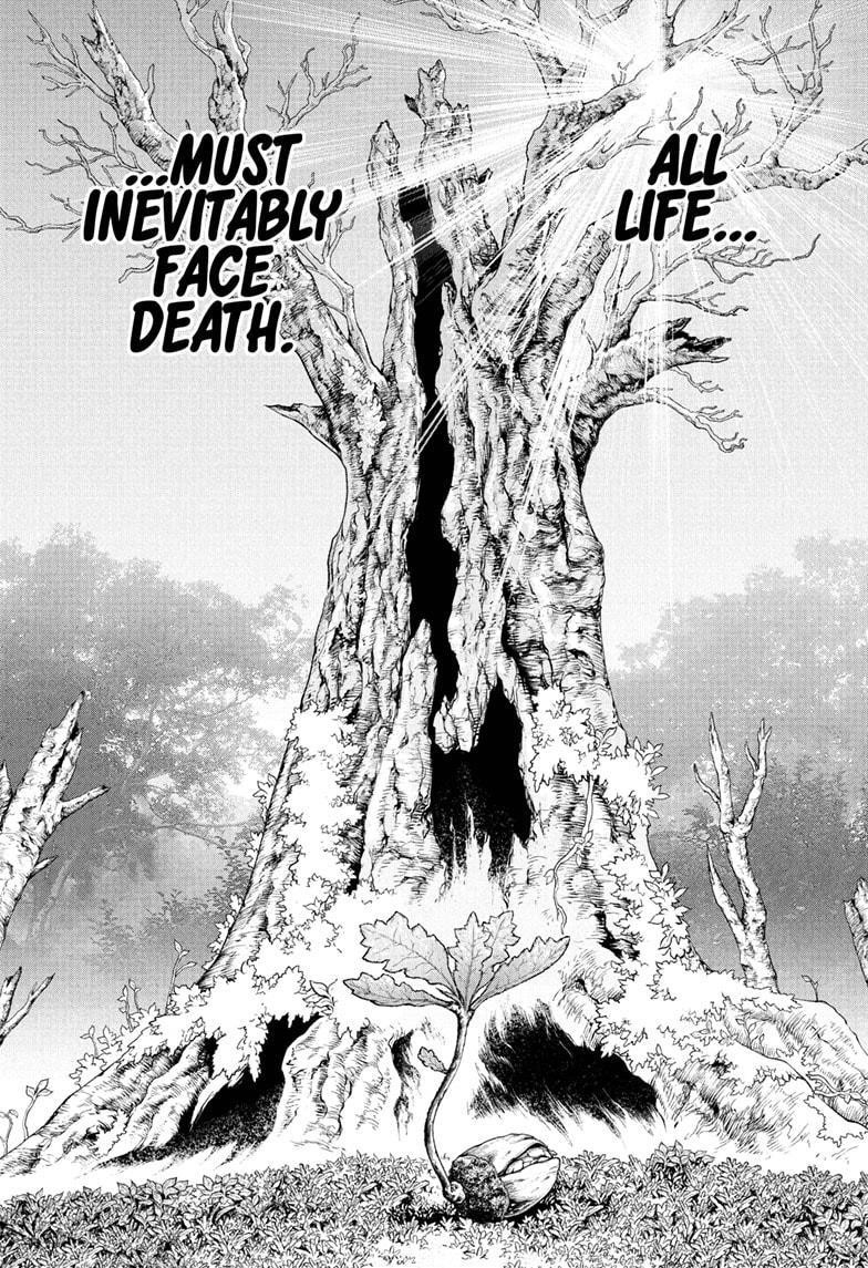 Dr. Stone Chapter 230 page 1 - Chapter 230: Human