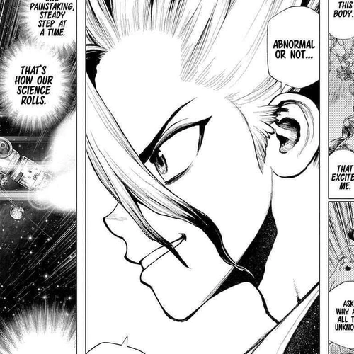 Dr. Stone Chapter 231: A Future To Get Excited About cover