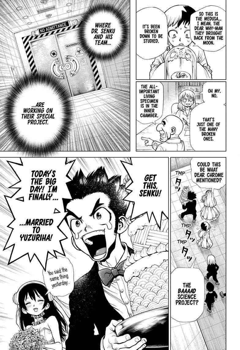 Dr. Stone Chapter 232 page 13 - Chapter 232: Final Chapter: Dr. STONE [END]