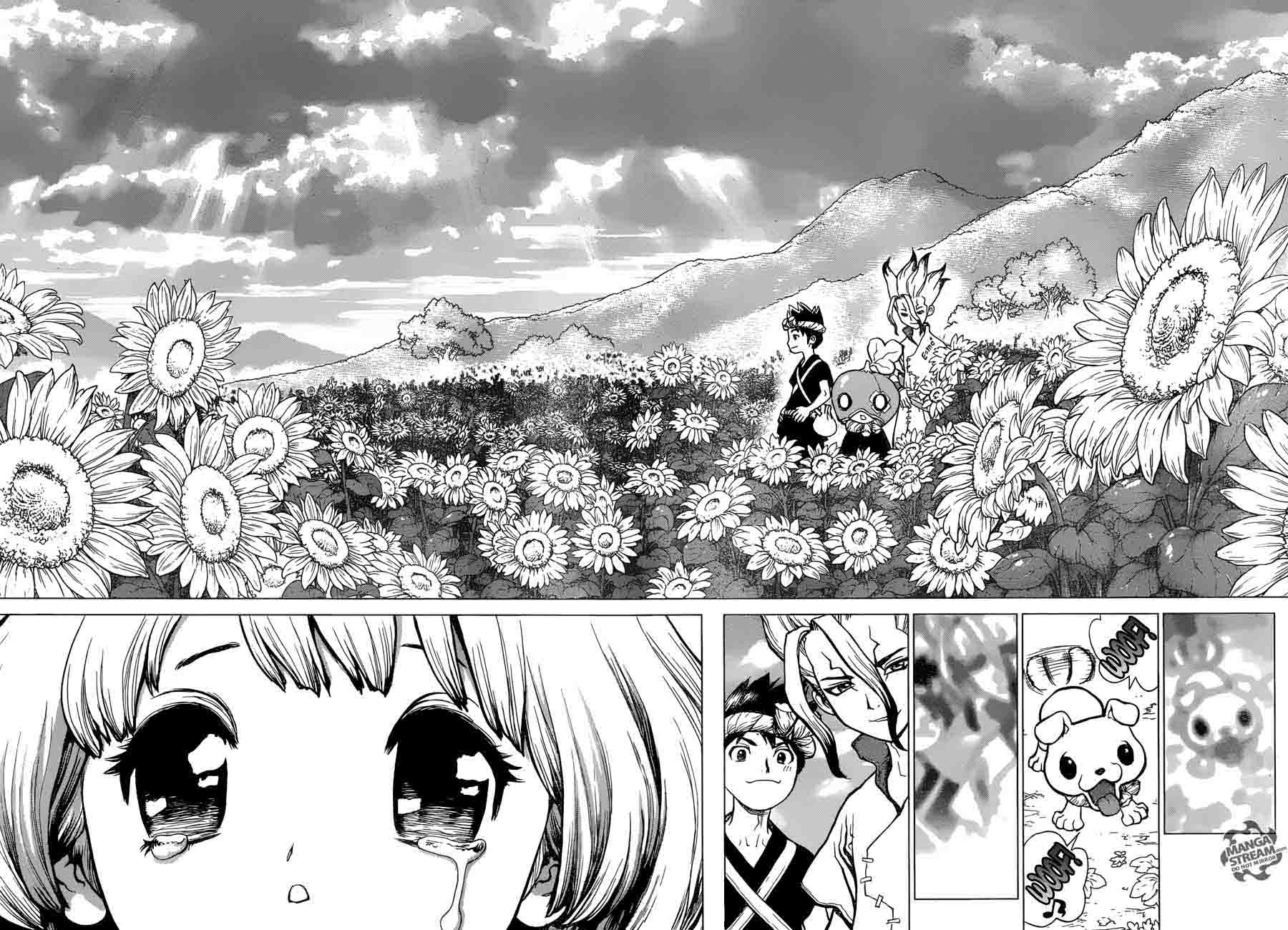 Dr. Stone Chapter 28 page 14 - Chapter 28: Clear World