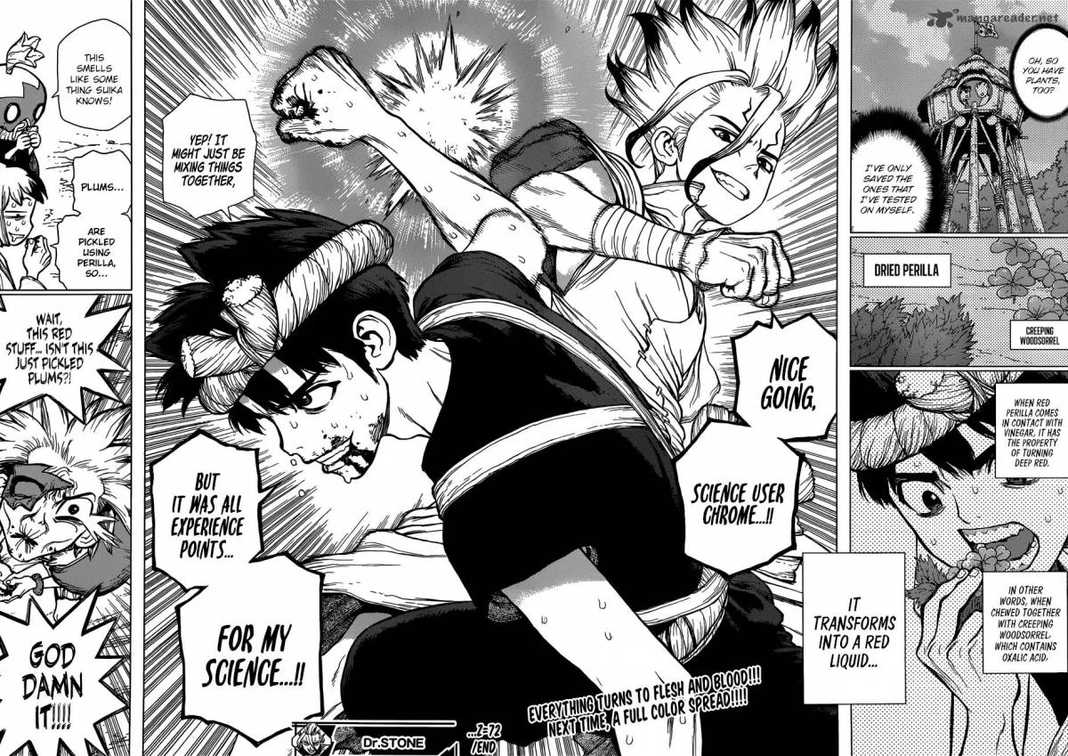 Dr. Stone Chapter 72 page 16 - Chapter 72: Experience Points