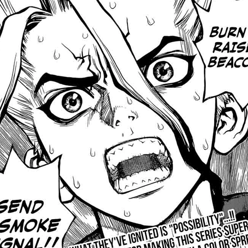 Dr. Stone Chapter 8: Raise the Smoke Signal cover