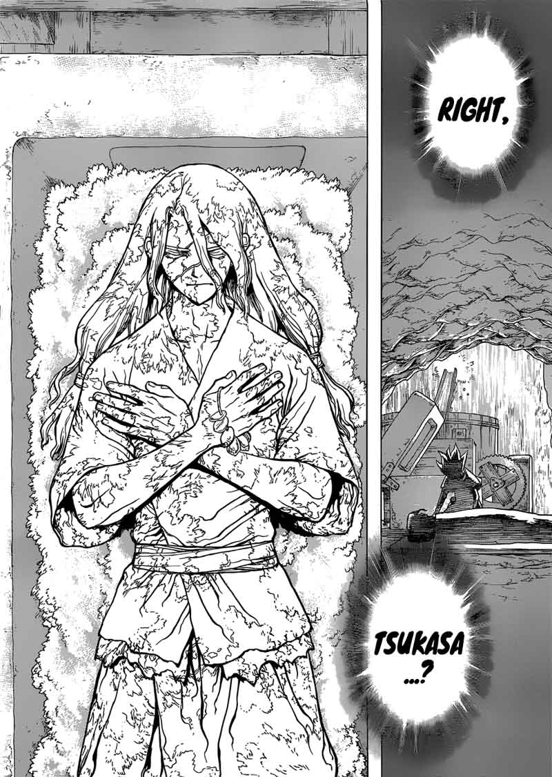 Dr. Stone Chapter 83 page 19 - Chapter 83: Dr. Stone