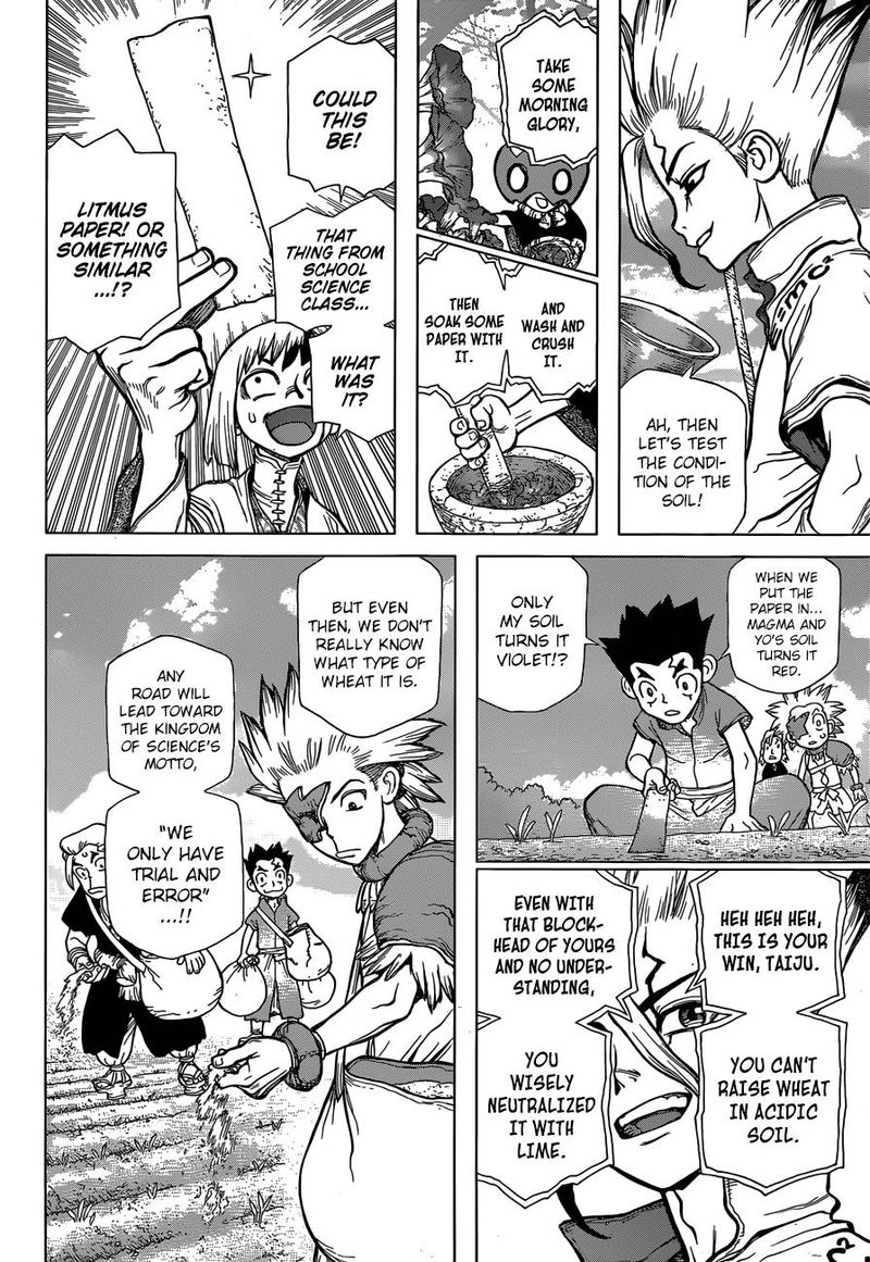 Dr. Stone Chapter 91 page 13 - Chapter 91: Need Bread? Start with Wheat