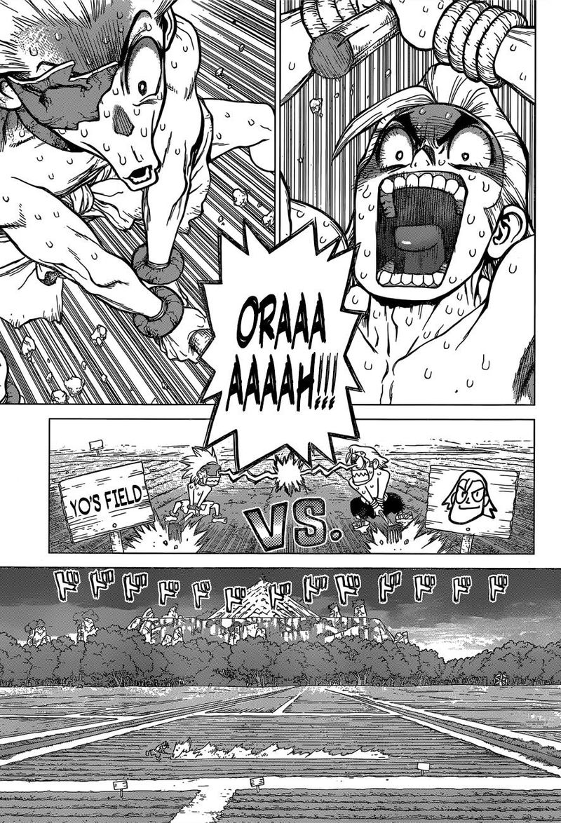 Dr. Stone Chapter 91 page 8 - Chapter 91: Need Bread? Start with Wheat