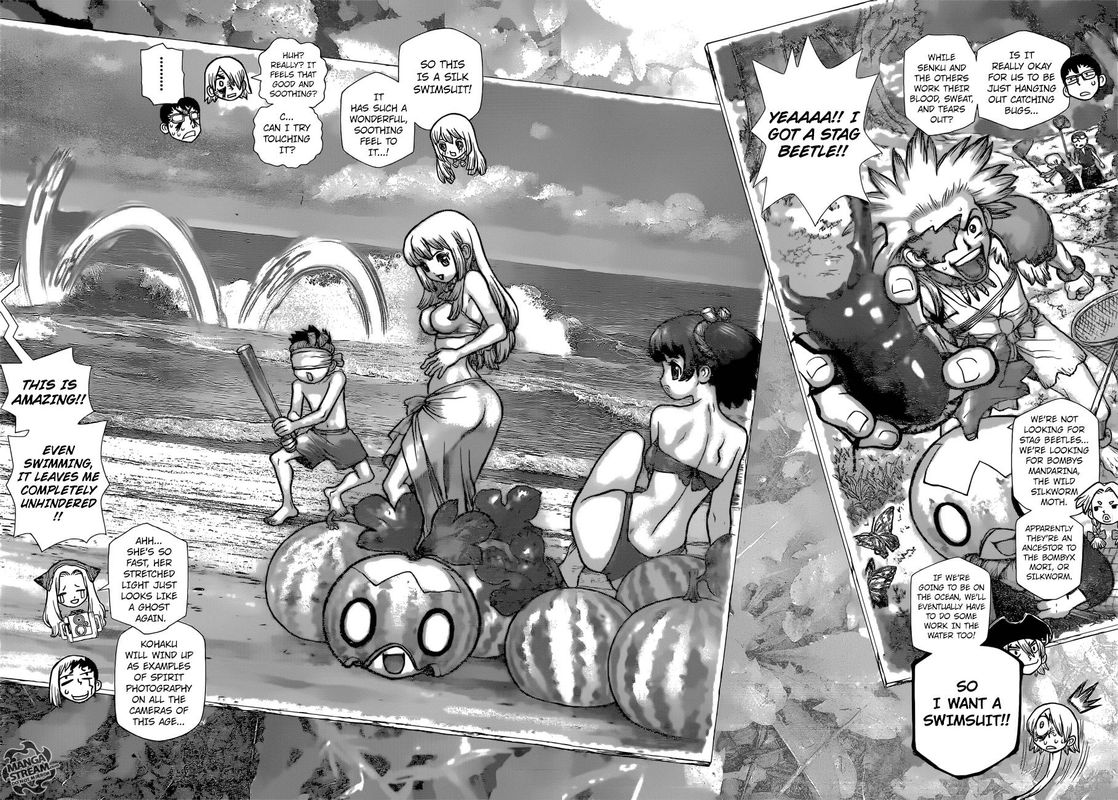 Dr. Stone Chapter 99 page 10 - Chapter 99: Kingdom of Science Photo Journal
