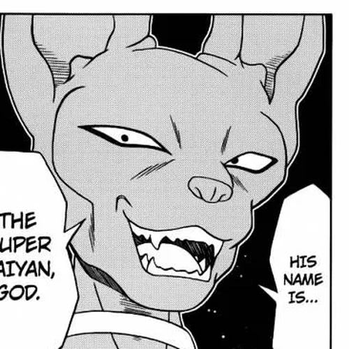 Dragon Ball Super Chapter 1: God of Destruction's Premonition cover