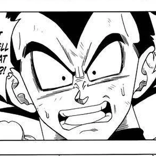 Dragon Ball Super Chapter 11: Vegeta's Turn!! cover