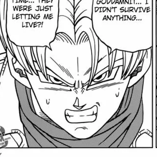Dragon Ball Super Chapter 20: The Zero Mortal Project cover