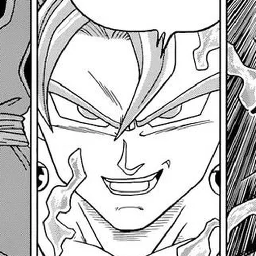 Dragon Ball Super Chapter 23: The Potara's True Worth cover