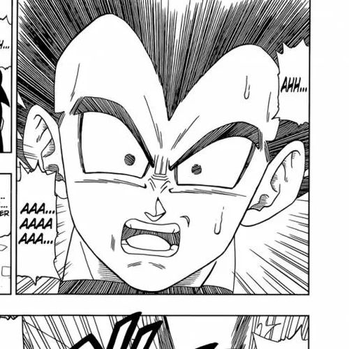 Dragon Ball Super Chapter 3: The Rage of Beerus cover