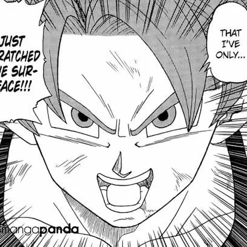 Dragon Ball Super Chapter 4: Battle of Gods cover