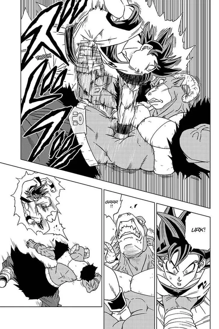 Dragon Ball Super Chapter 59 page 27 - Chapter 59: Activate Ultra Instinct -Sign-