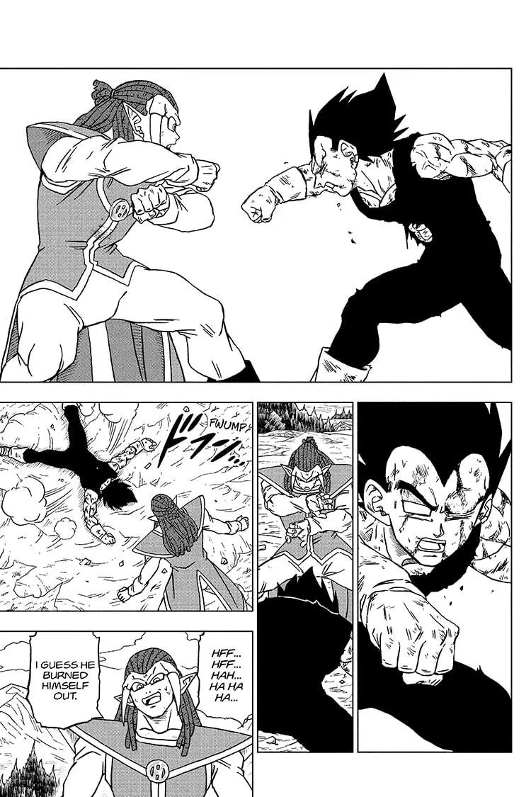 Dragon Ball Super Chapter 85 page 17 - Chapter 85: To Each His Own Answer
