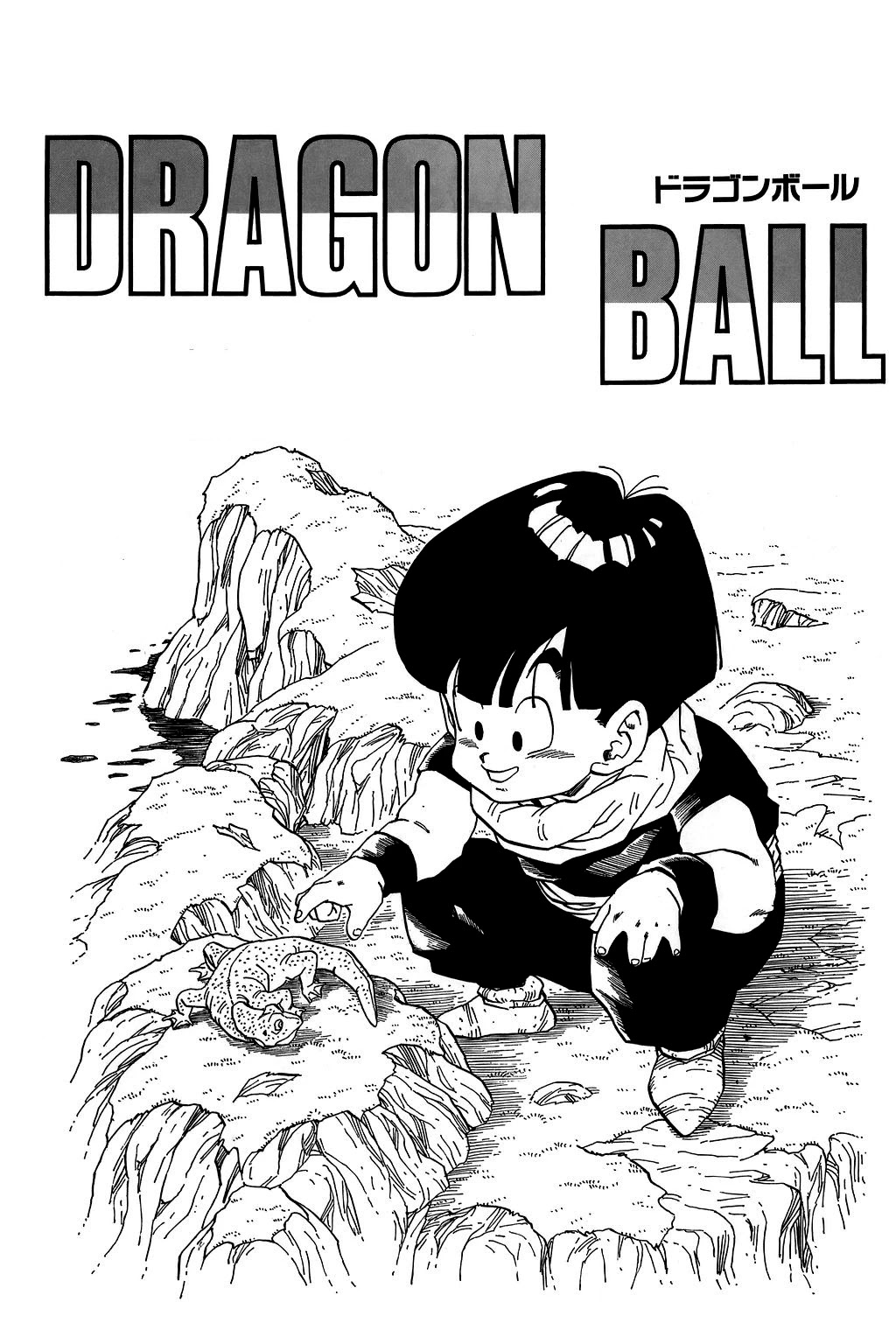 Dragon Ball Chapter 284 page 24 - Chapter 284: A Matter of Pride