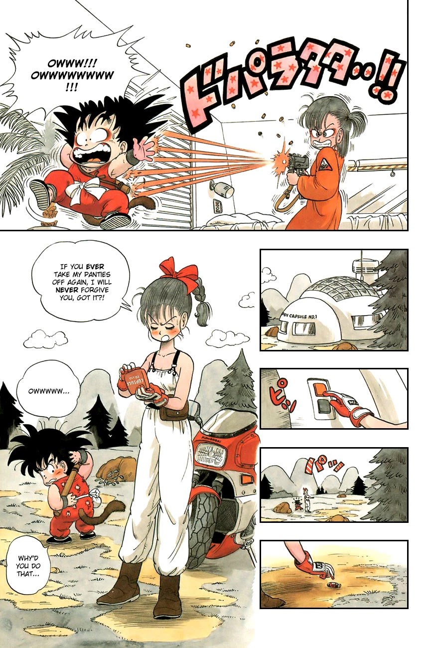 Dragon Ball Chapter 4 page 13 - Chapter 4: They Call Him... the Turtle Hermit
