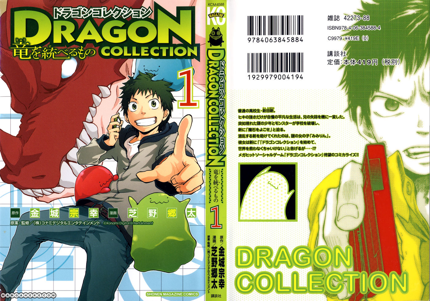 Dragon Collection - Ryuu o Suberumono Chapter 1.1 page 31 - Chapter 1.1