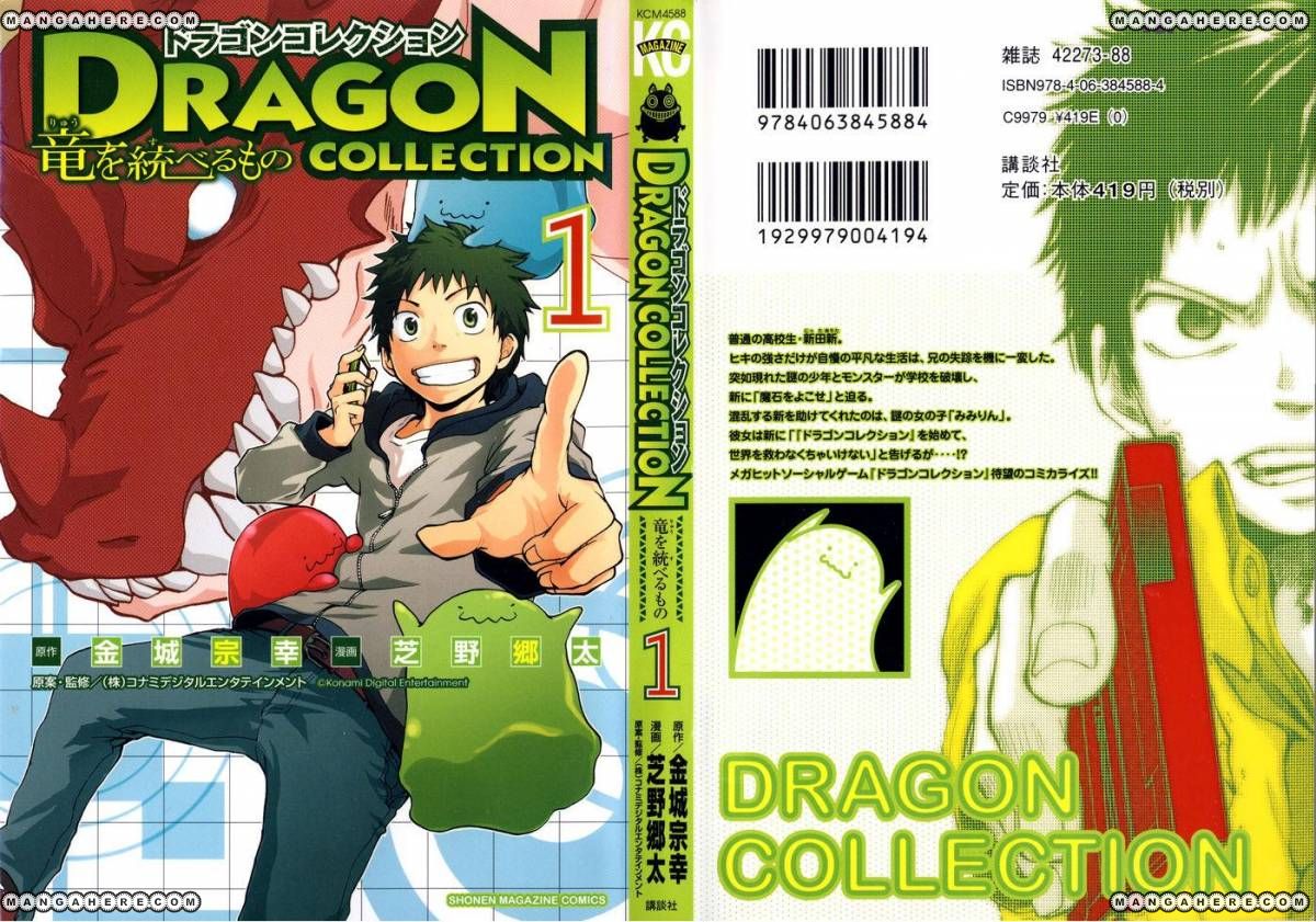 Dragon Collection - Ryuu o Suberumono Chapter 1 page 31 - Chapter 1